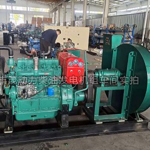 豐茂動(dòng)力柴油發(fā)電機(jī)組車(chē)間實(shí)拍